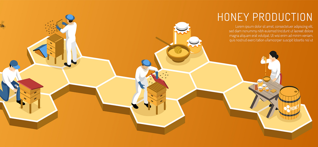 When Should You Add More Hives? – The Secret to an Efficient Apiary