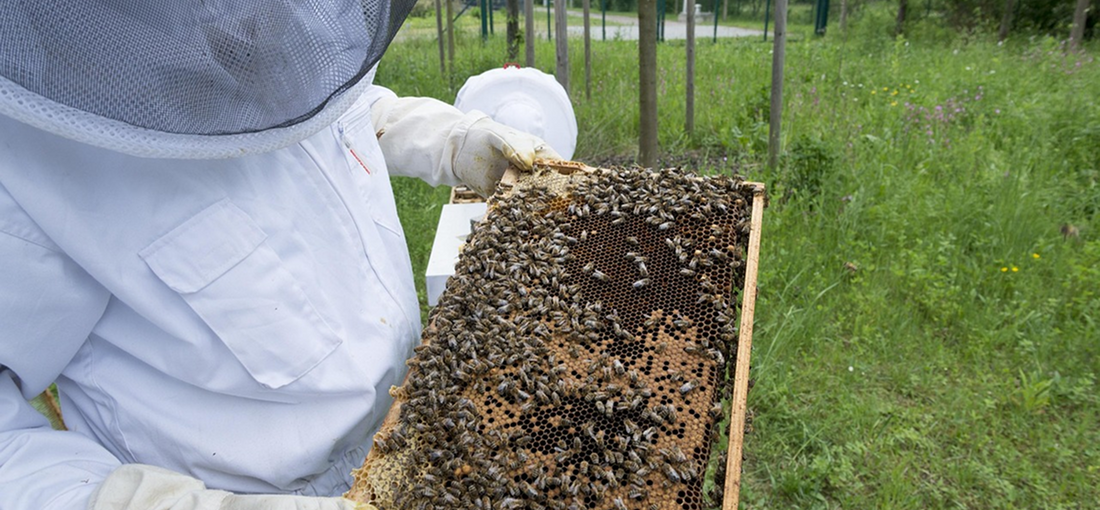 How to Remove a Large Number of Drones?