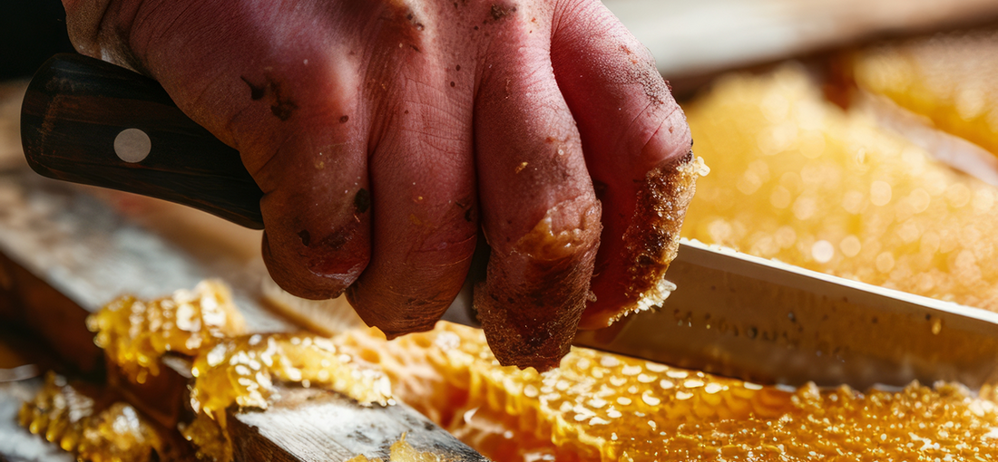 Symptoms and Control of Bee Paralysis