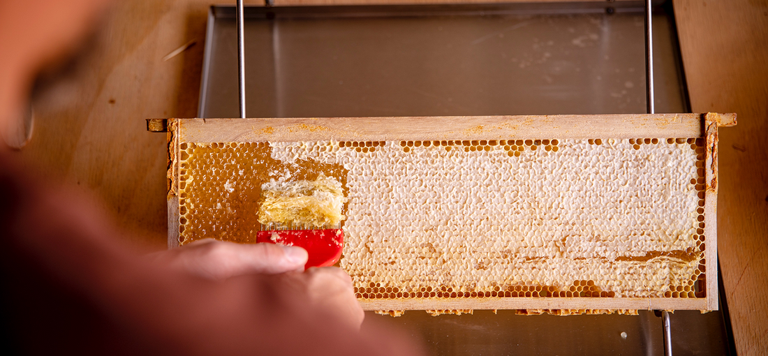 Why do beekeepers feed sugar to their bees?