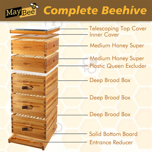 10-Frame 5-Layer Beehive Configuration