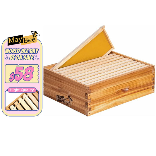 MayBee Hives Assembled 10 Frame Medium Super Bee Box Wax Coated Bee Hives Includes Bee Hive Wooden Frames , Waxed Foundations