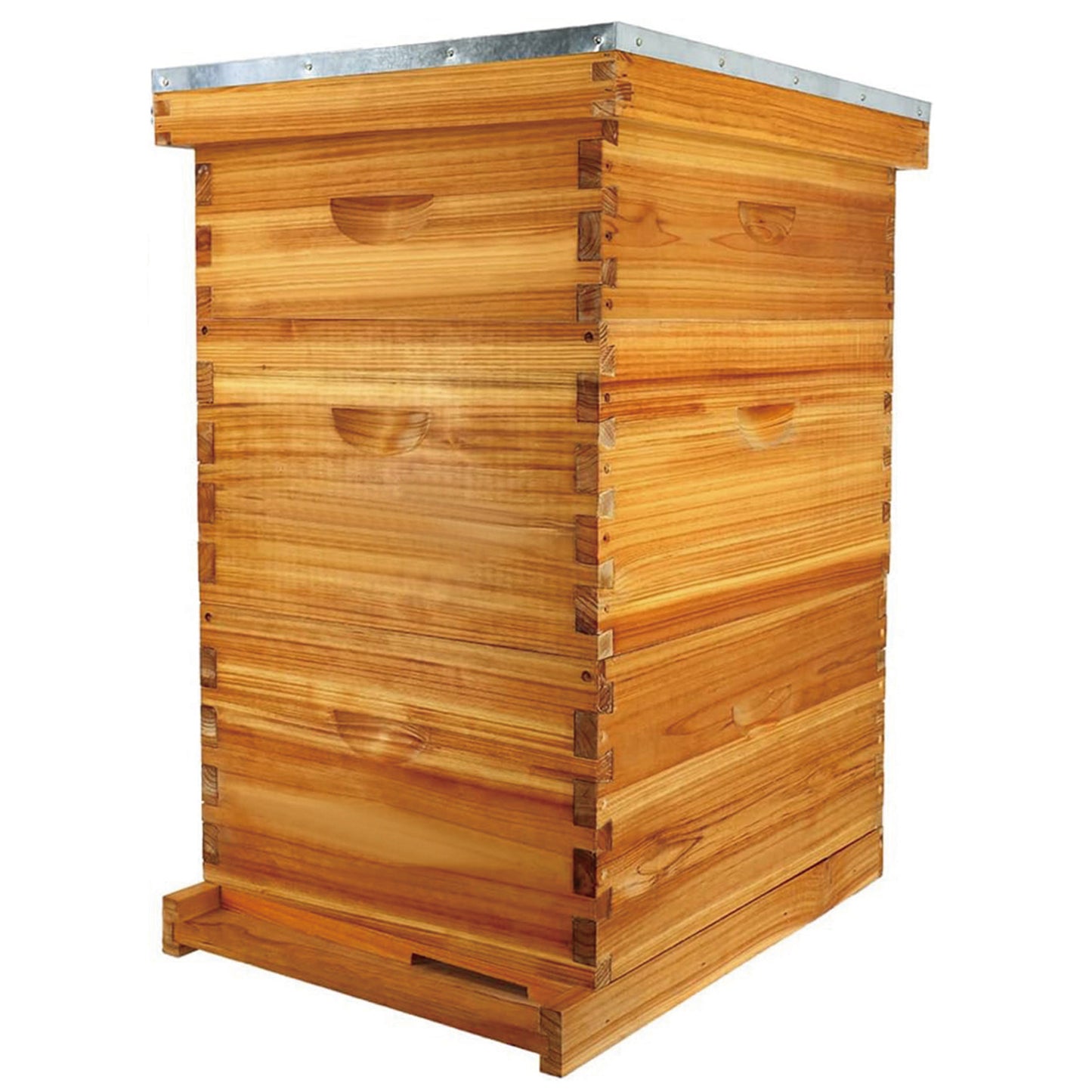 MayBee Hives Wax-Coated 8 Frame 3 Layer Beehive with 2 Deep Hive Bodies and 1 Honey Super Box, Featuring Premium Wooden Frames and Beeswax-Plastic Foundation.