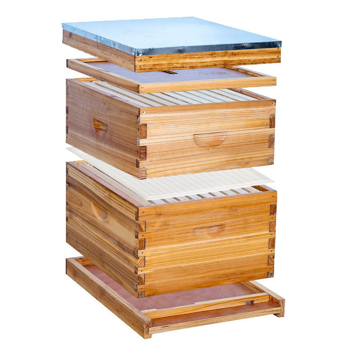 10 Frame 2 Layer Hive Structure diagram