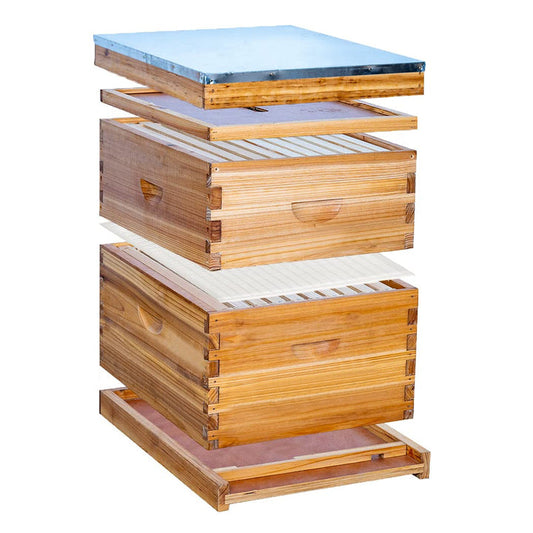 10 Frame 2 Layer Hive Structure diagram