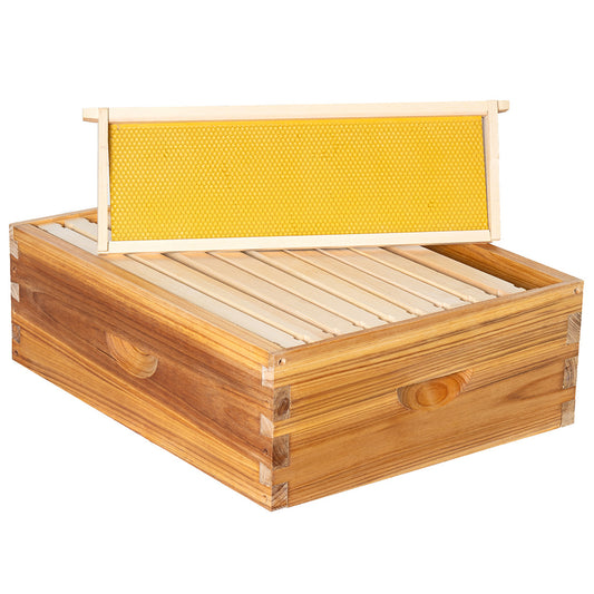 MayBee Hives Assembled 10 Frame Medium Super Bee Box Beeswax Coated Bee Hives Includes Bee Hive Pine Wood Frame , BeesWaxed Foundations(NO LOGO)