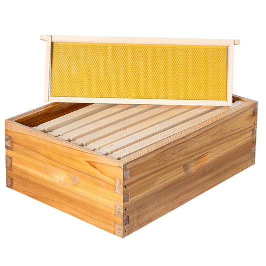 MayBee Hives Assembled 8 Frame Medium Super Bee Box Dipped in 100% Beeswax Bee Hives Includes Bee Hive Pine Wood Frame , Beeswaxed Foundations(NO LOGO)