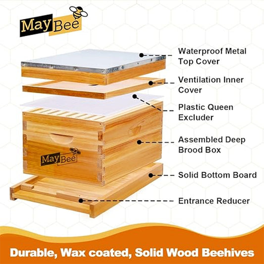 MayBee Hives Beeswax Coated 10 Frame Deep Langstroth Beehive Includes 1 Deep Brood Box with Black Plastic Foundation