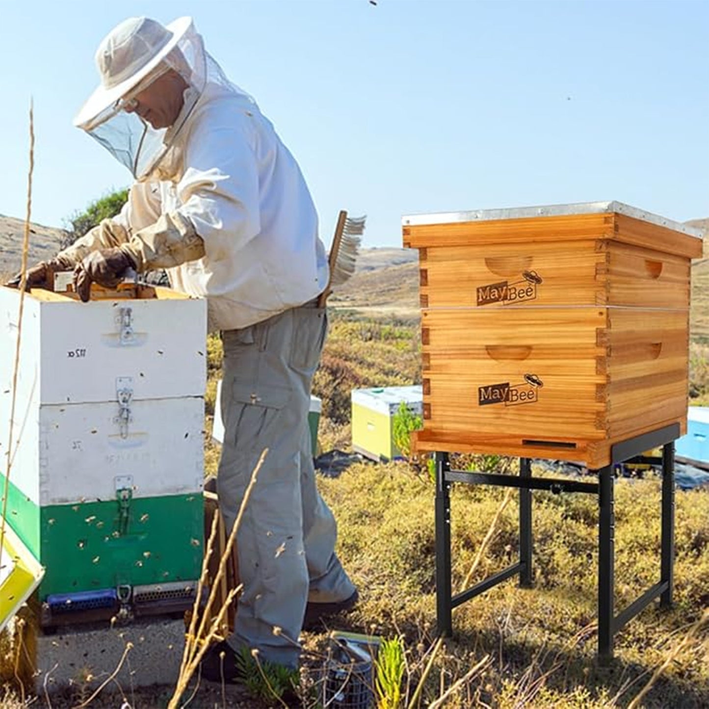 MayBee Adjustable Metal Bee Hive Stand, Adjustable Height(16.1โ-20.9โ) Hive Stand, Adjustable Width(15โ-19โ) Bee Hive Frame Stands Hive Stand Frame