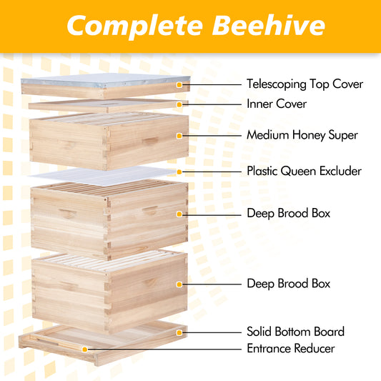 MayBee Hives 10-Frame Complete Bee Hives and Supplies Starter Kit:2 Deep Box Bee Hive and 1 Beehive Medium Super Boxes ,with Beehive Frames and Waxed Foundations