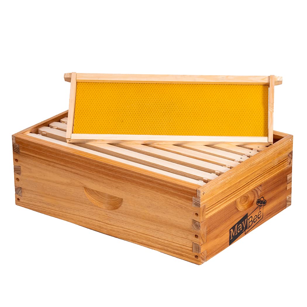 maybee hive 10 frame super box