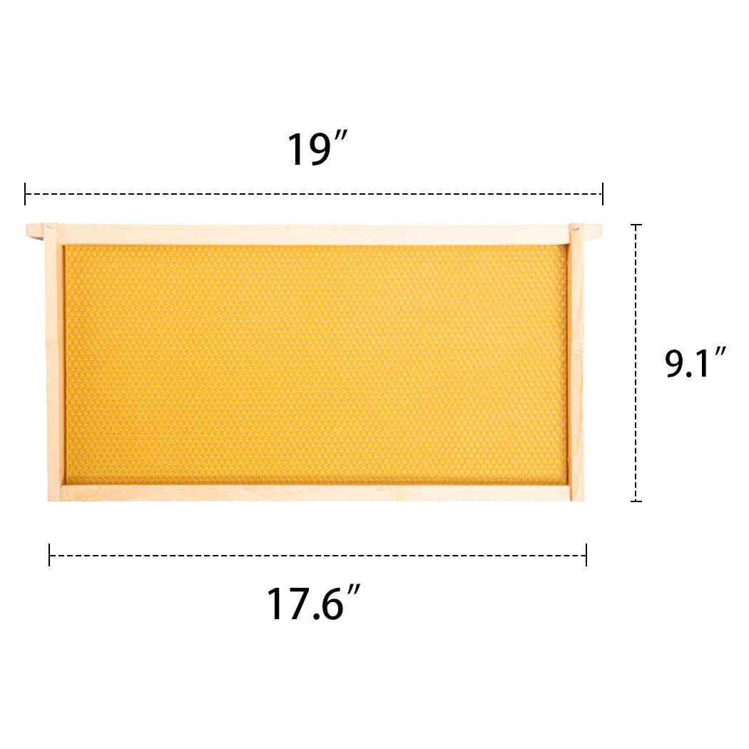 Bee Hive Wooden Frame and Yellow Foundation