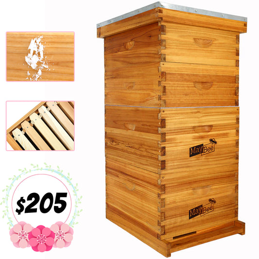 MayBee Hives Cedar Wood 10 Frame 4 Layer Beehive Include 2 Deep Honey Box 2 Super Honey Box With Frame and Beeswax Foundation Cedar Wood Beehives