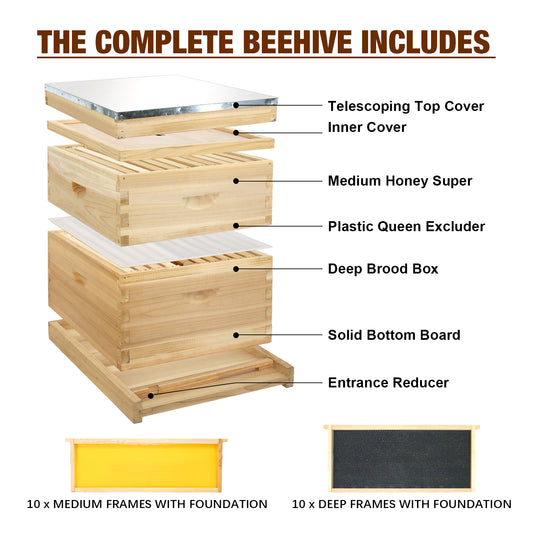 MayBee Hives 10 Frame Hive Kit, Includes Pine Wooden Frames & Beeswax Plastic Foundation, 1 Deep Box, 1 Medium Box