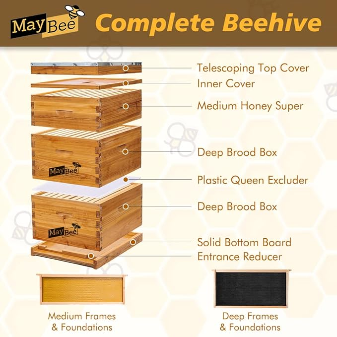 MayBee Hives 10 Frame Complete Cedar Wood Beehive Kits Include: 2 Deep Bee Boxes And 1 Super Bee Box with Pine Wooden Frame And Beeswax Coated Plastic Foundation