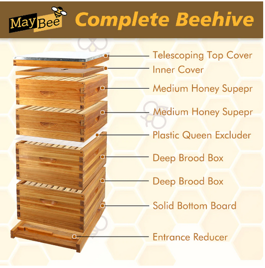 maybee hives 8 frame 4 layer beehives