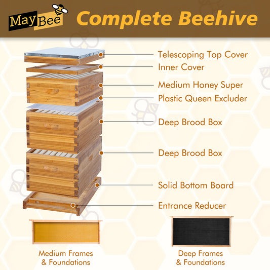 MayBee Hives 8 frame 3 layer Structure diagram