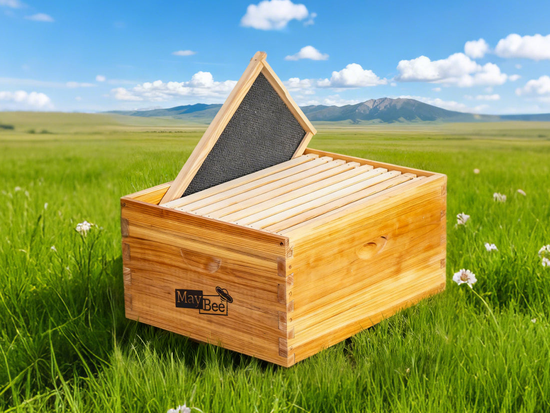 5 Signs Your Bees Need Another Deep Box.