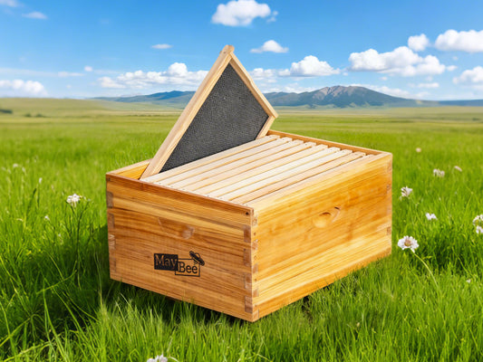 5 Signs Your Bees Need Another Deep Box.