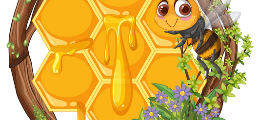 🍂 Fall Beehive Prep: Set Your Bees Up for a Safe Winter