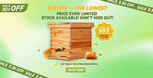 How Much Does It Cost to Start Beekeeping in 2025?