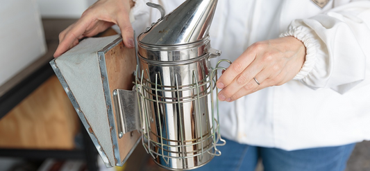 What are the benefits of starting with two hives for novice beekeeping?