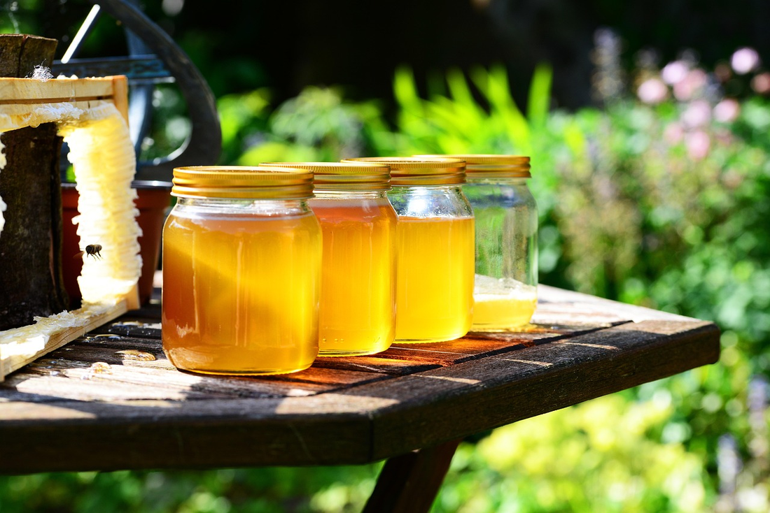 How Much Honey Can Italian Bees Produce in a Year? 🐝🍯
