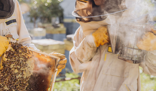 How to Use a Beekeeping Smoker Properly