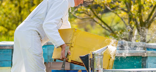 What's the favorite color of bees?