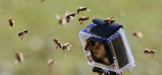 Introducing Our Latest Arrival: Experience the Excitement of Our New Product!