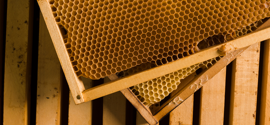 Should I buy assembled beehives?