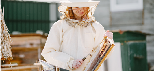 Understanding the Anatomy of a Beehive