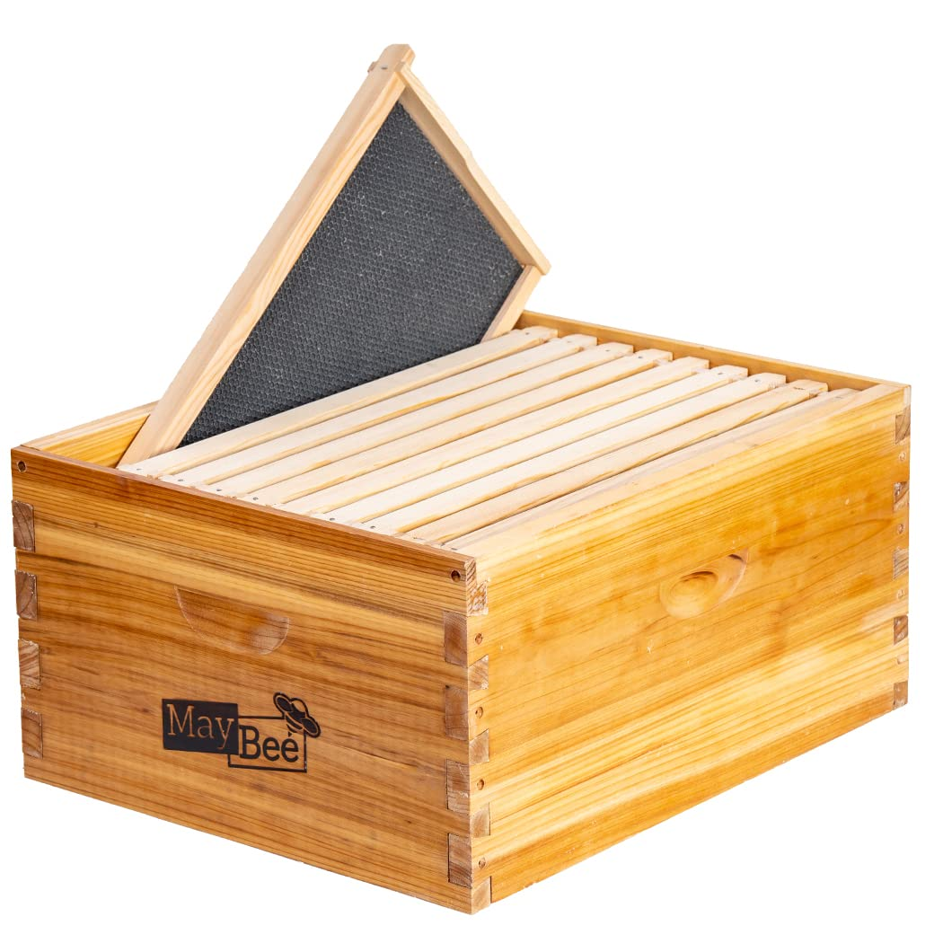 Maybee Hives Box