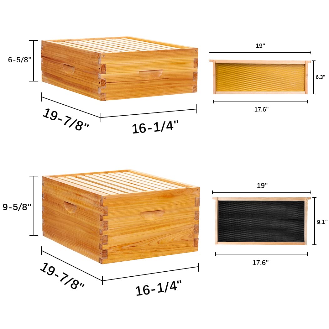 maybee beekeeping supplies
