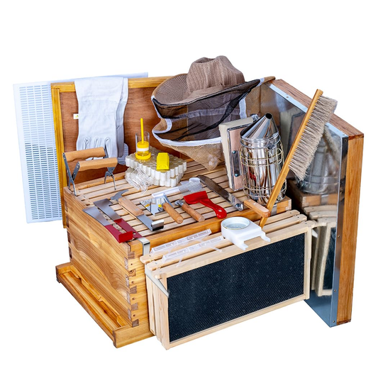 MayBee Hives 10 Frame Best Beekeeping Starter Kit Include 22 pcs Beekeeping Tool,Wax Coated Langstroth Deep Brood Bee Box with 100% Beeswax Plastic Foundation,Beekeeping Veil for Beginners Beekeeper