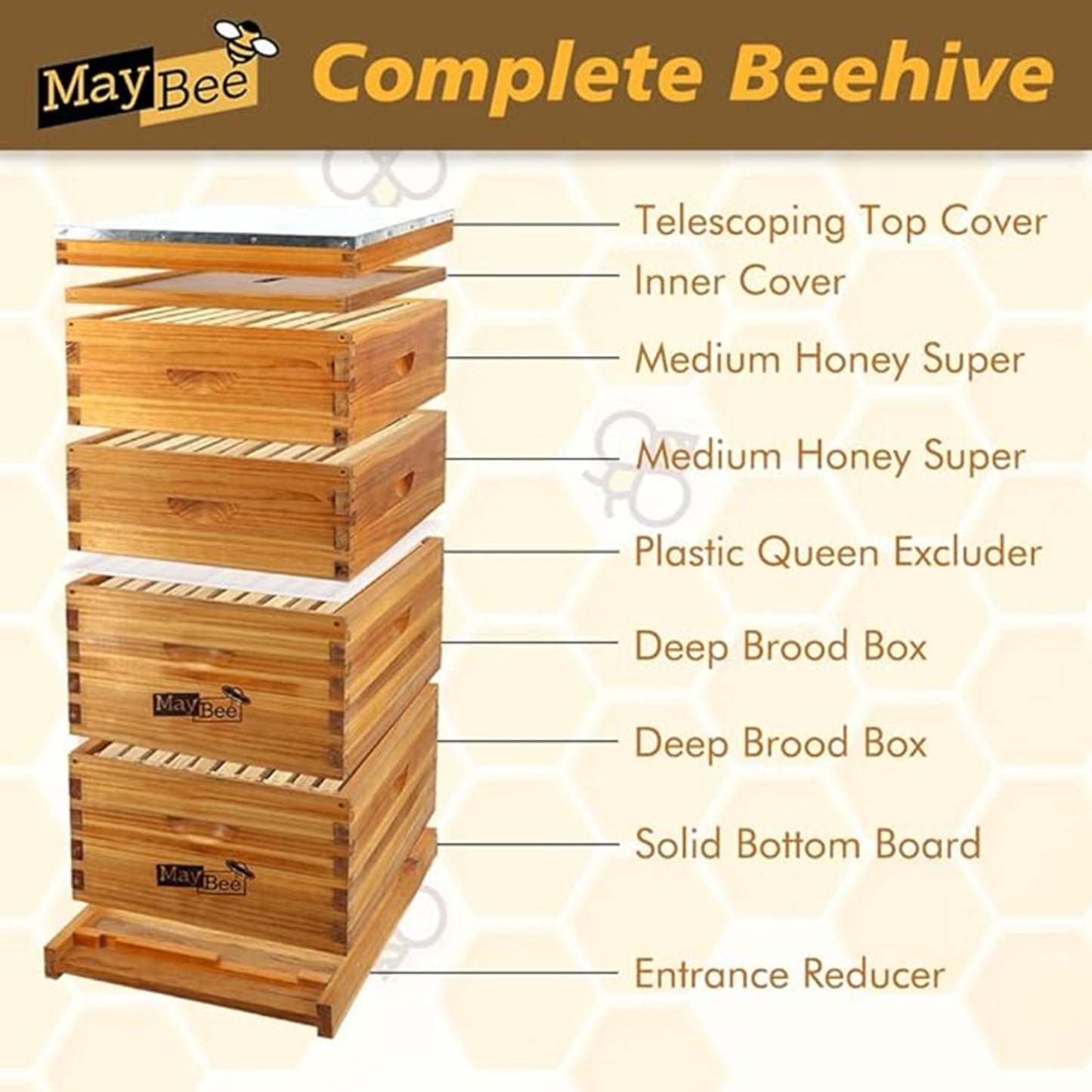 MayBee Hives 10 Frame 4 Layer Cedar Wood Beehive Dipped in 100% Beeswax, Include 2 Deep Bee Boxes 2 Medium Super Bee Boxes with Pine Wooden Frames and Beeswax Plastic Foundation,Complete beehive kits