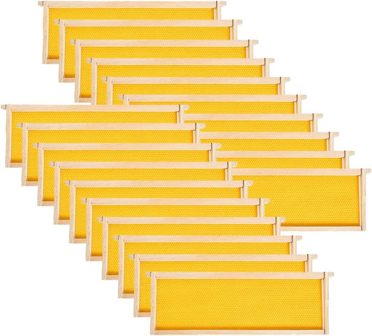 20 Pack 6 1/4" Medium Super Frame with Beeswax Foundation