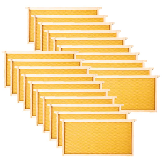 MayBee Hives 20 Pack 9 1/8" Deep Bee Hive Wooden Frame and Yellow Wax Coated Foundation