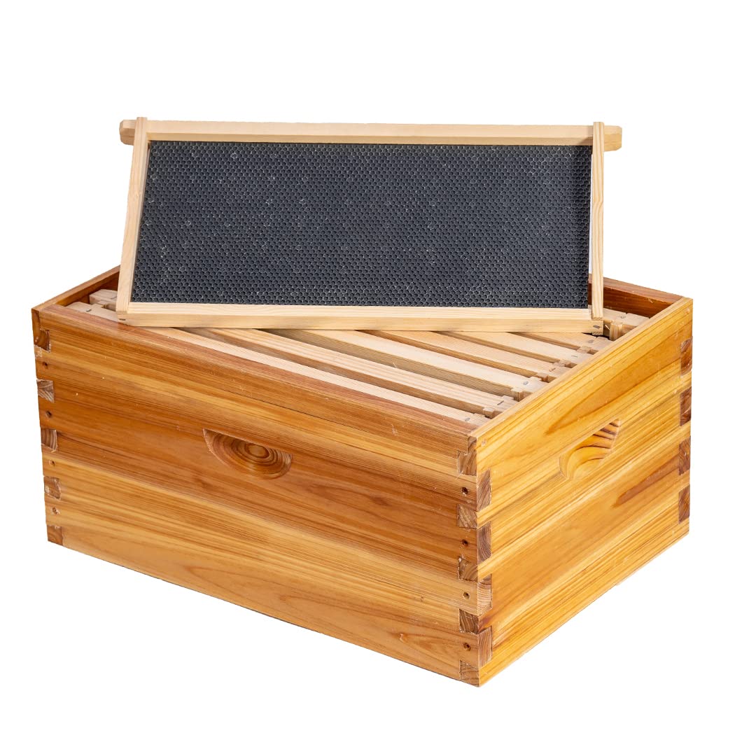 maybee hive box