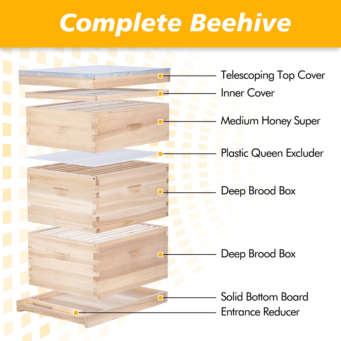 MayBee Hives 10-Frame Complete Bee Hives and Supplies Starter Kit：2 Deep Box Bee Hive and 1 Beehive Medium Super Boxes ,with Beehive Frames and Waxed Foundations