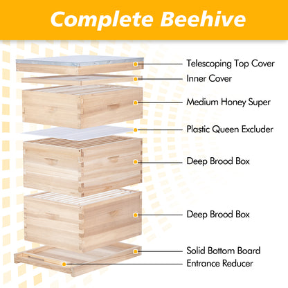 MayBee Hives 10-Frame Complete Bee Hives and Supplies Starter Kit：2 Deep Box Bee Hive and 1 Beehive Medium Super Boxes ,with Beehive Frames and Waxed Foundations
