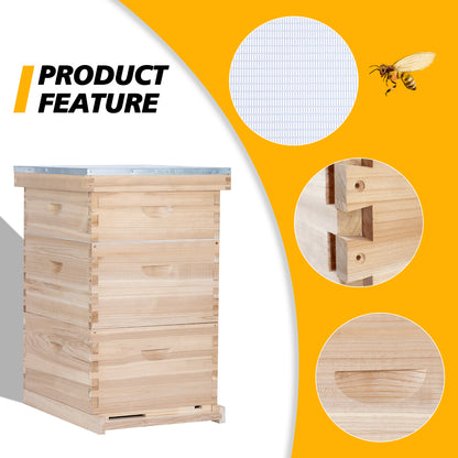 MayBee Hives 10-Frame Complete Bee Hives and Supplies Starter Kit：2 Deep Box Bee Hive and 1 Beehive Medium Super Boxes ,with Beehive Frames and Waxed Foundations