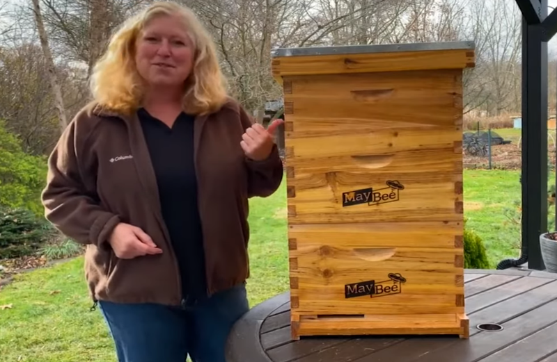 Assemble Beehive Video