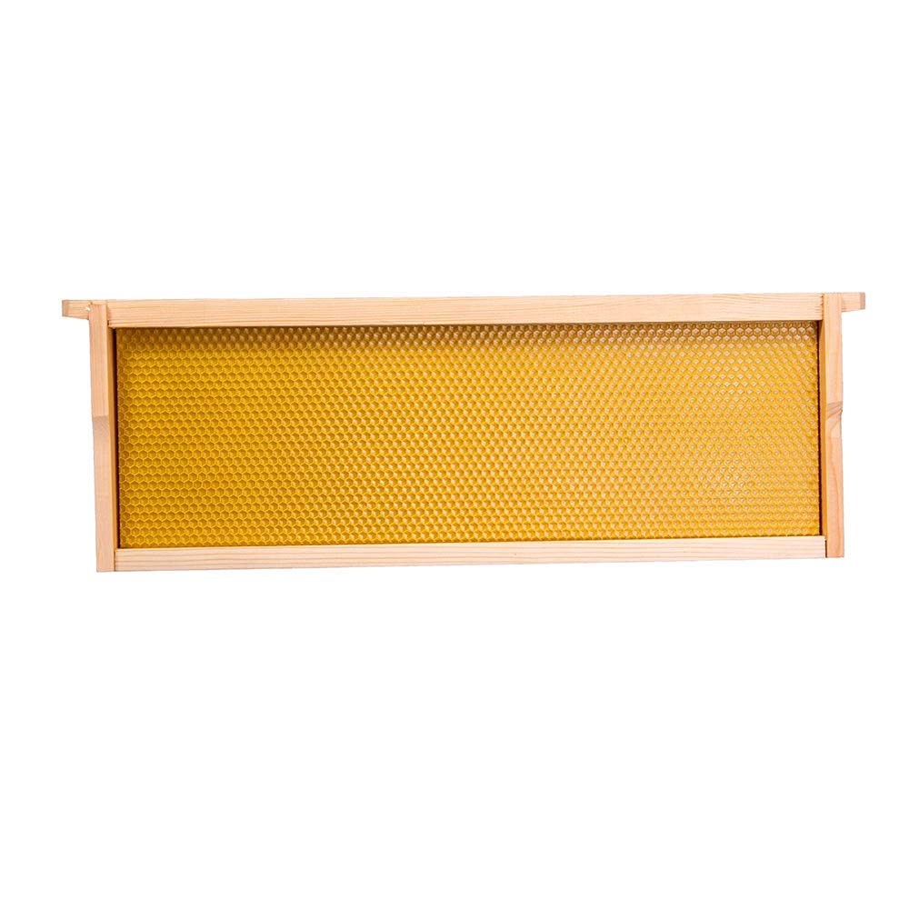 MayBee Hives Assembled 10 Frame Medium Super Bee Box Wax Coated Bee Hi ...
