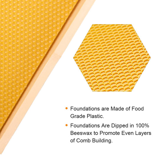 MayBee Hives 10 Pack Super Beehive Frames and Foundations,100% Beeswax Coated Food Grade Foundation Sheets