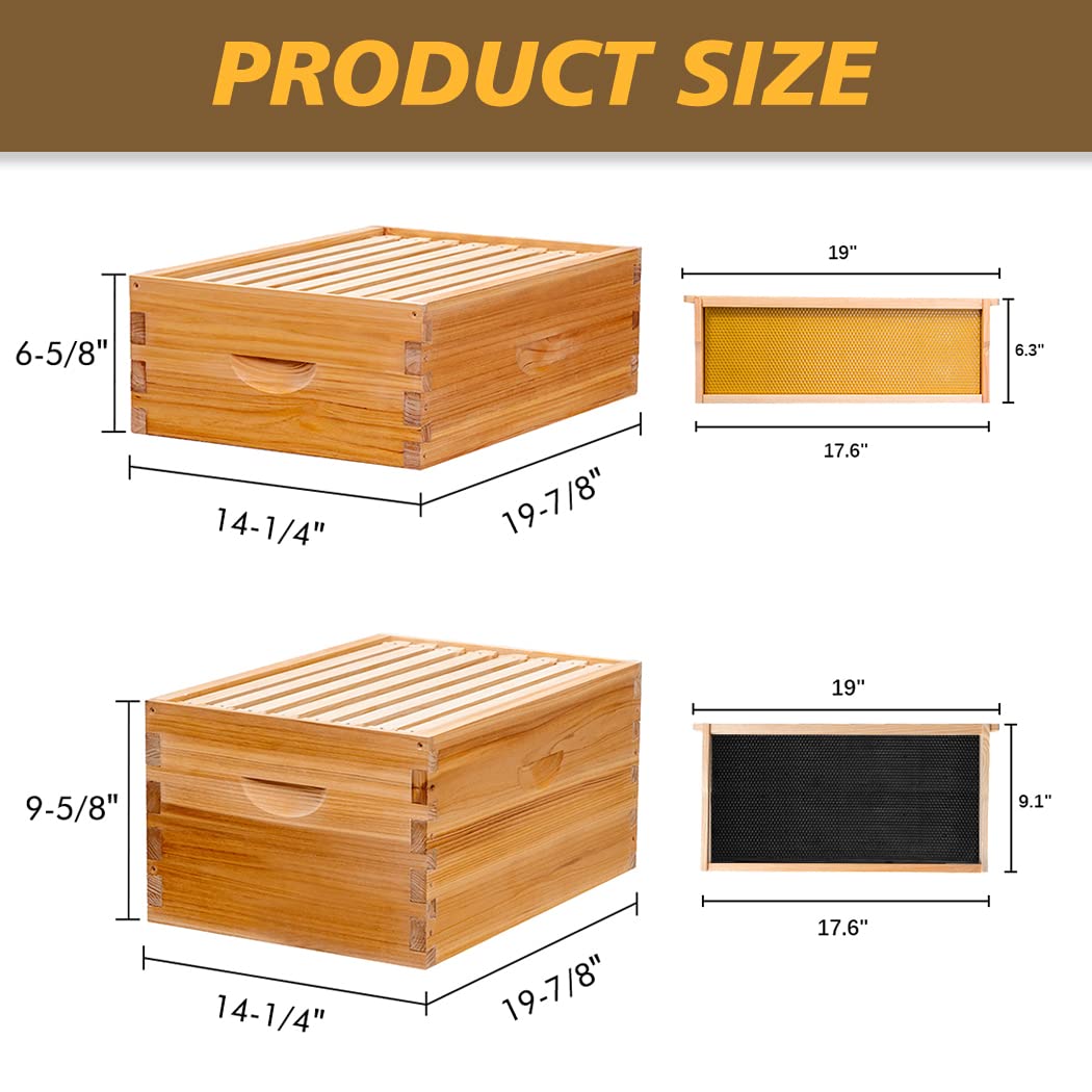 MayBee 8 Frame Bee Hives dimension