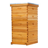 beehive kit