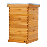 MayBee Hives 10 frame 3 layer 