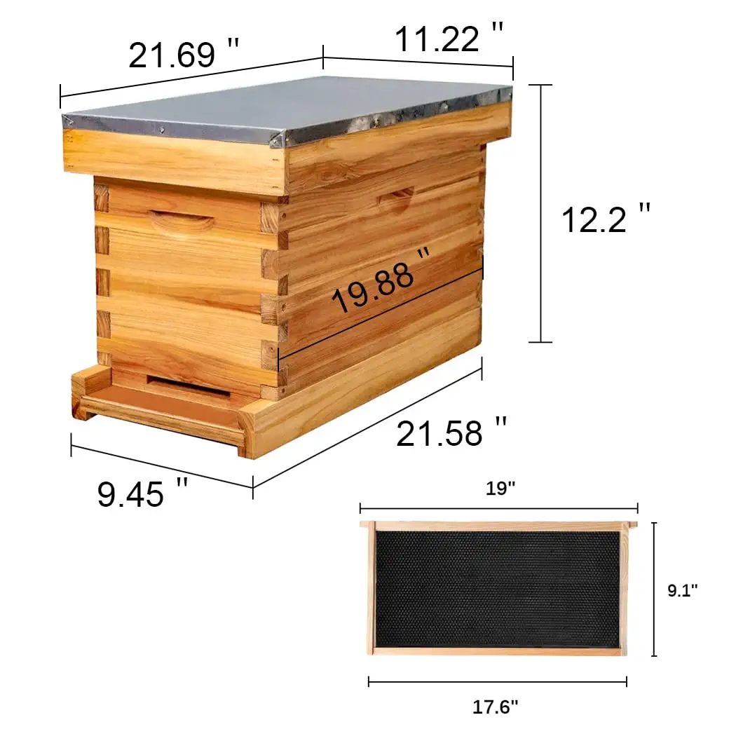 Illustration of Nanst Met Gratitude Hive