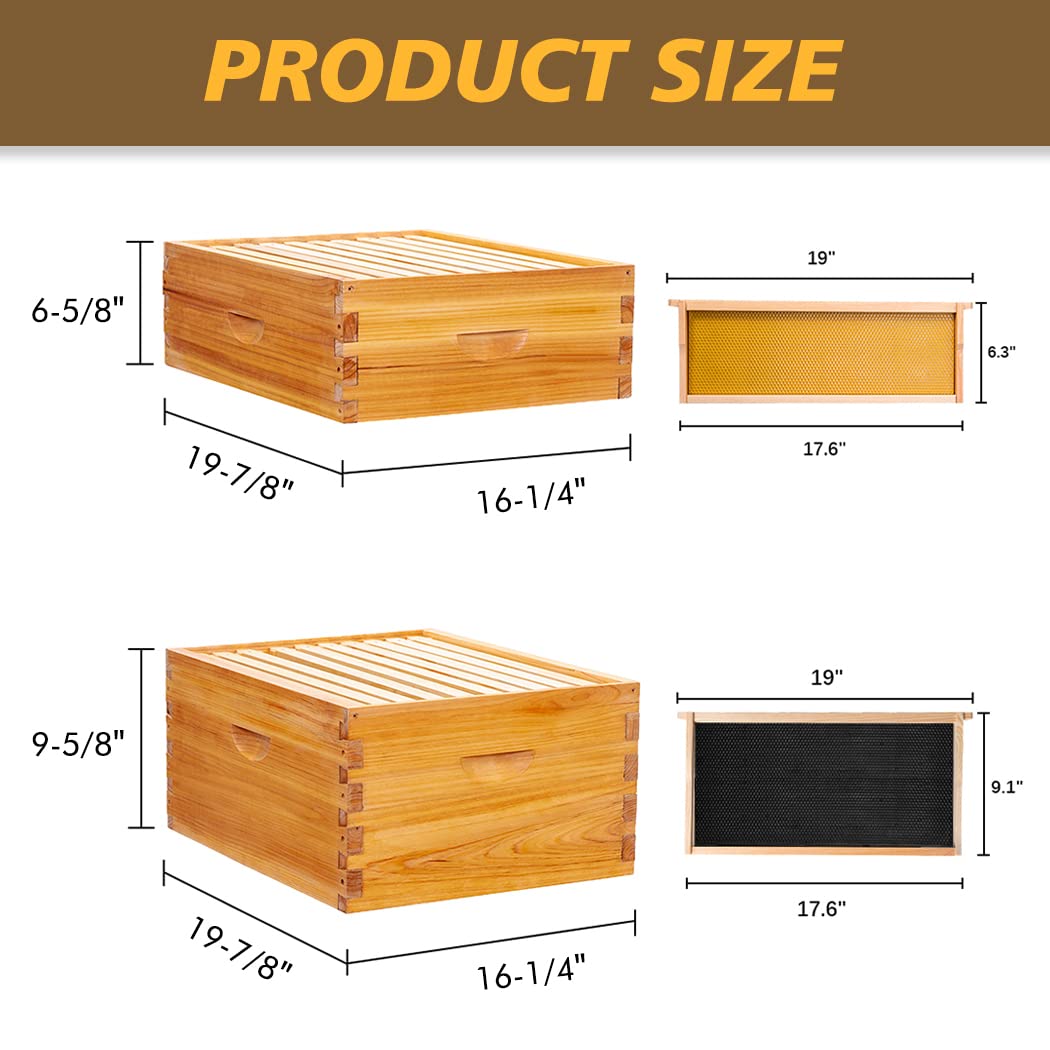MayBee Hives 10 Frame 5 Layer Langstroth Beehive Kit, Dipped in 100% Beeswax, Complete Cedar Wood Beehive with 3 Deep Brood Boxes and 2 Medium Super Boxes, Wooden Frames and Beeswax-Coated Plastic Foundation